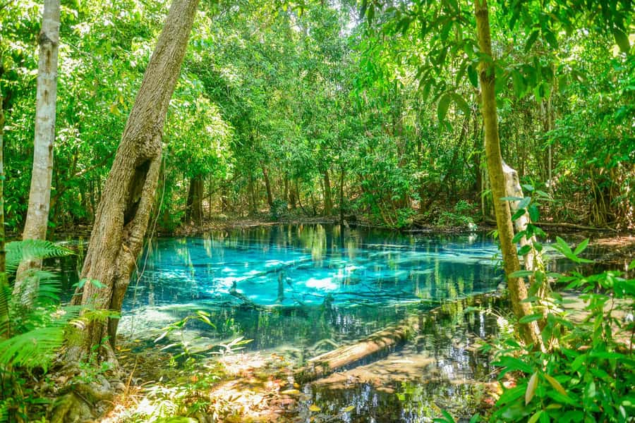Krabi Private Escape: Emerald Pool, Hot Springs & Tiger Cave - Hot Stream Krabi: a natural soak that helps after steps