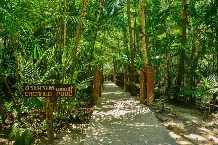 Krabi Private Escape: Emerald Pool, Hot Springs & Tiger Cave - Tiger Cave Temple: 1,200 steps and hilltop payoff
