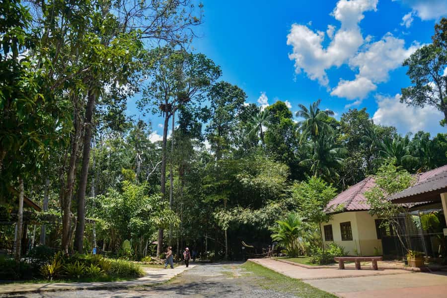 Krabi Private Escape: Emerald Pool, Hot Springs & Tiger Cave - How the private transport works (and why it matters)
