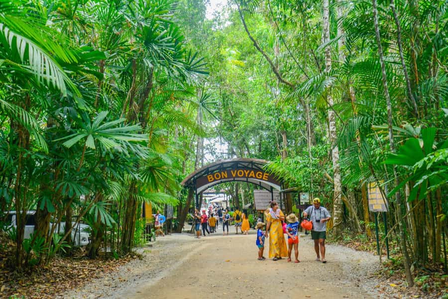 Krabi Private Escape: Emerald Pool, Hot Springs & Tiger Cave - Who this tour suits best, and who should skip it