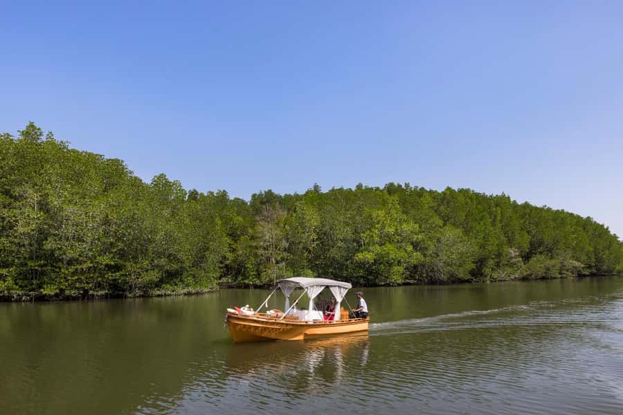 Krabi Private Gondola Cruise with Lunch and Picnic - A private gondola in Krabi mangroves, built for an easy pace