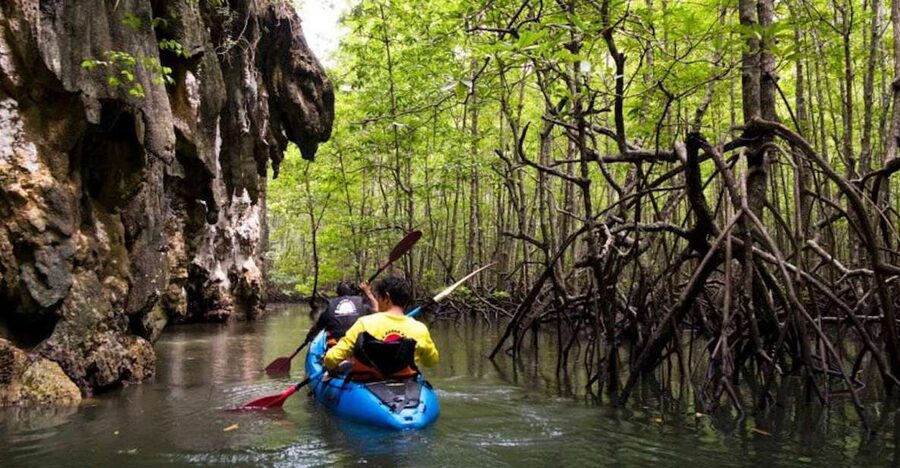 Krabi: Private Sea Kayaking in Ao Thalane and Hong Island - Ao Thalane Bay mangroves and karst channels: what makes this paddle special
