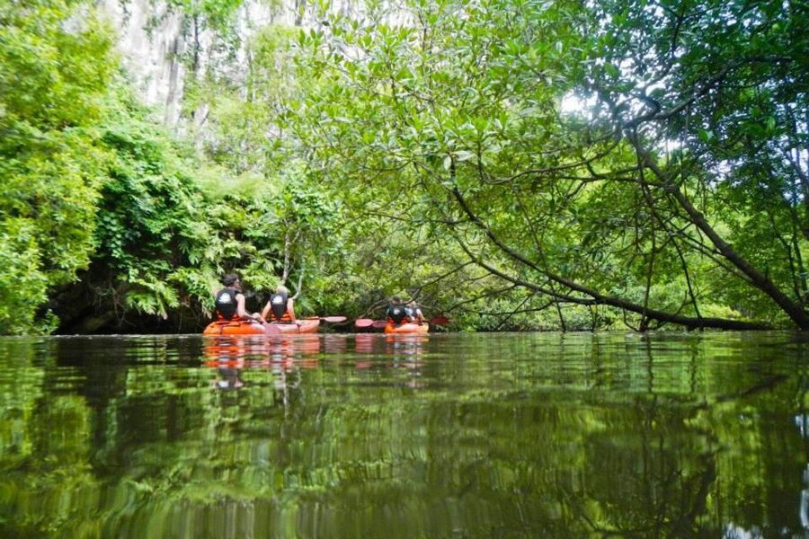 Krabi: Private Sea Kayaking in Ao Thalane and Hong Island - Hong Island, Peley Beach, and a fishermen’s lagoon: the payoff for the option