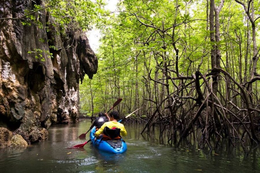 Krabi: Private Sea Kayaking in Ao Thalane and Hong Island - Snorkeling in clear Andaman water: how to get the most from it