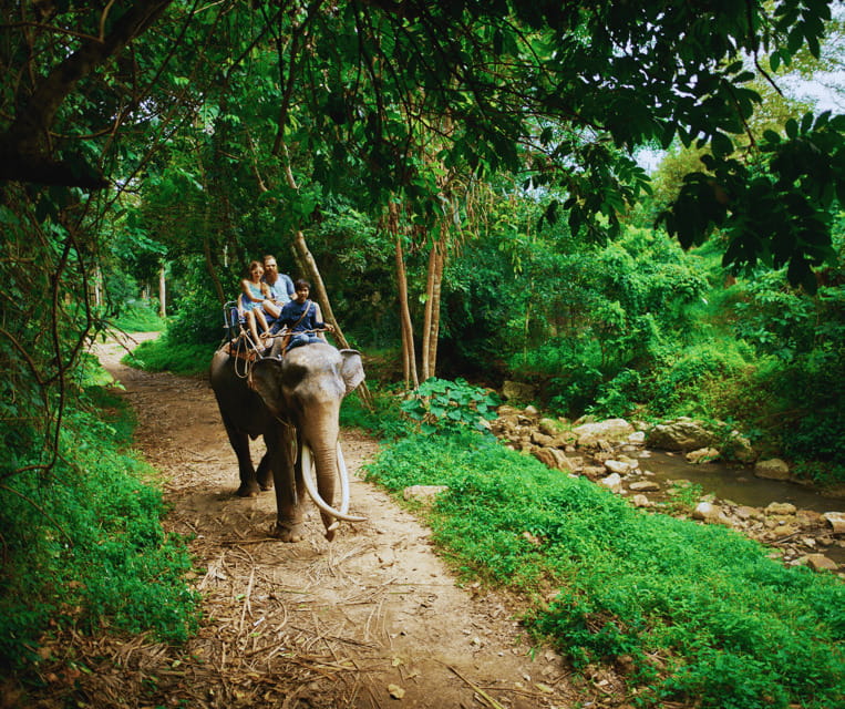 Krabi: Rainforest Jungle Tour with Emerald Pool & Hot Spring - Price and Value: What $48 Covers, Plus Entrance Fees