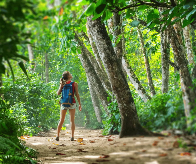 Krabi: Rainforest Jungle Tour with Emerald Pool & Hot Spring - Guide Quality and Language: What the Day Sounds Like
