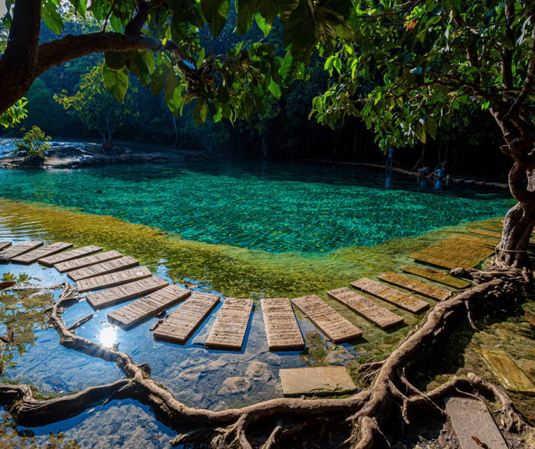 Krabi: Rainforest Jungle Tour with Emerald Pool & Hot Spring - Pickup, Van Rides, and How to Plan Your Morning