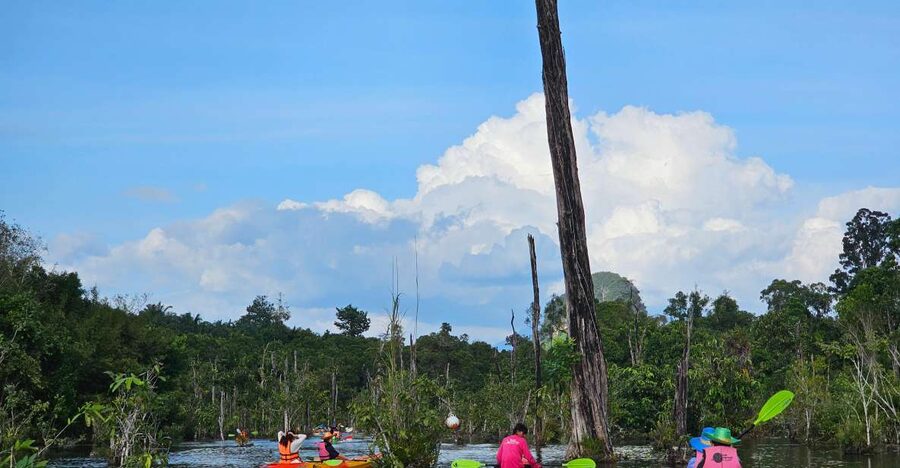 Krabi: South Kayak Klong Root Kayaking Tour - Key things to know before you go