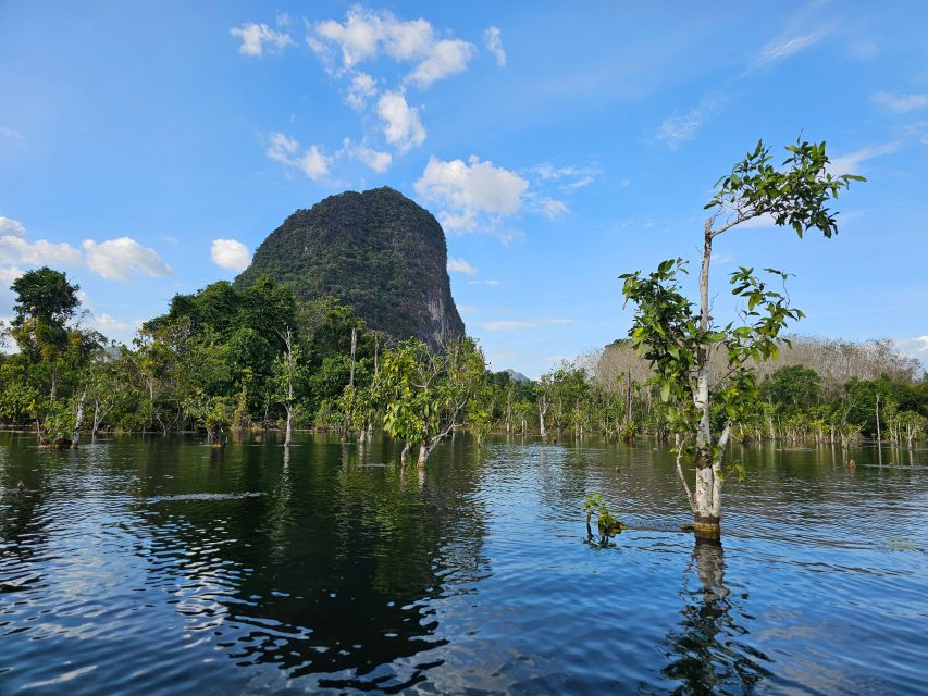 Krabi: South Kayak Klong Root Kayaking Tour - Transfers and timing: 08:30, 12:00, or 15:00 from Aonang