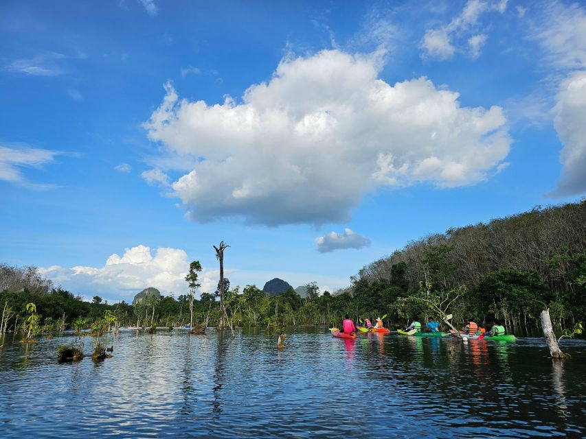 Krabi: South Kayak Klong Root Kayaking Tour - Price and value: what you pay, and what you still need to bring cash for