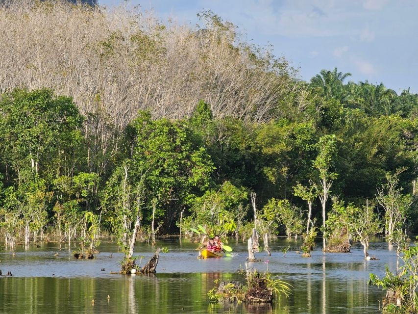 Krabi: South Kayak Klong Root Kayaking Tour - Guides, language support, and how the experience feels on the water