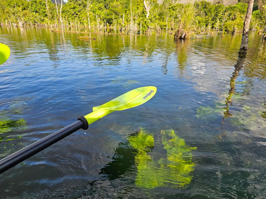 Krabi: South Kayak Klong Root Kayaking Tour - Who should book this Krabi kayak tour (and who should skip it)