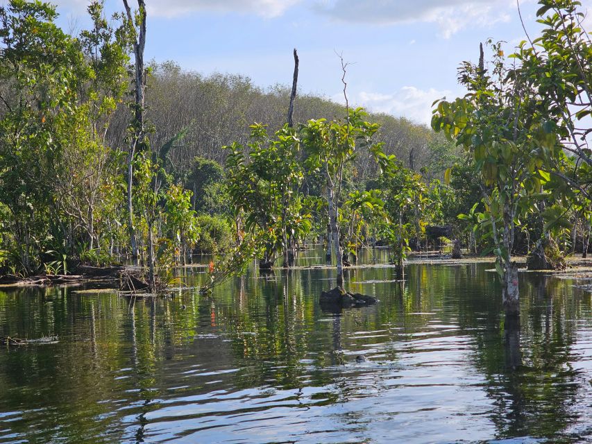 Krabi: South Kayak Klong Root Kayaking Tour - Smart packing tips for a one-hour paddle in mangroves