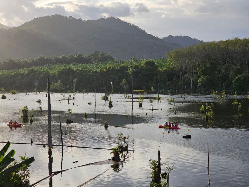 Krabi: South Kayak Klong Root Kayaking Tour - What makes this tour feel special in a place full of choices