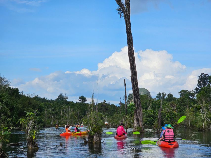 Krabi: South Kayak Klong Root Kayaking Tour - What the 1-hour kayaking tour covers, step by step