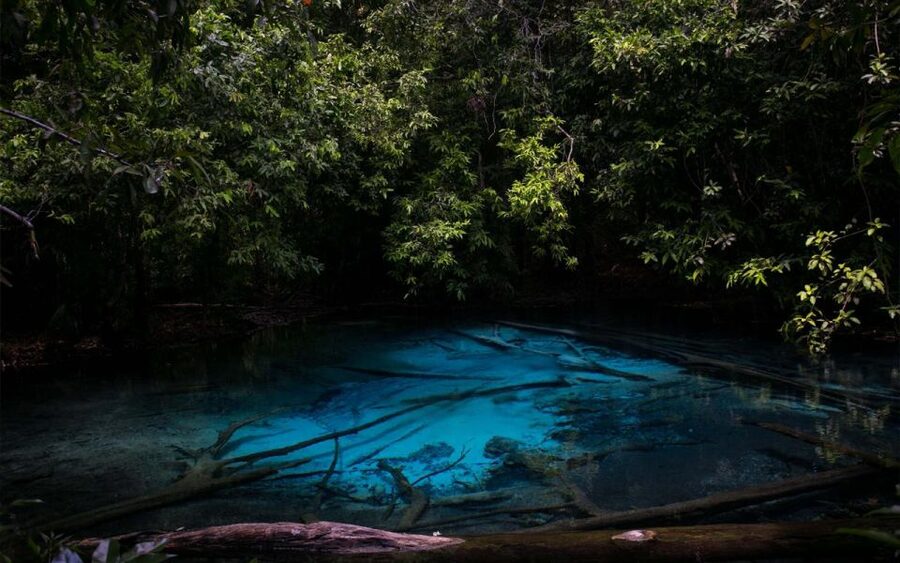 Krabi: Tiger Cave, Hot Springs and Emerald Pool Jungle Tour - Getting from your hotel to the rainforest stops