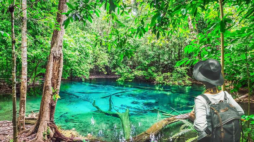 Krabi: Tiger Cave Temple, Emerald Pool and Hot Springs Tour - Blue Lagoon photo walk: roots, shade, and the best angles