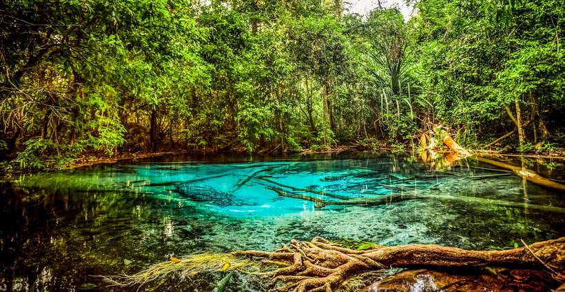 Krabi: Tiger Cave Temple, Emerald Pool and Hot Springs Tour - Tiger Cave Temple, Wat Tham Seua: the stair challenge, the Buddha, and monkey rules