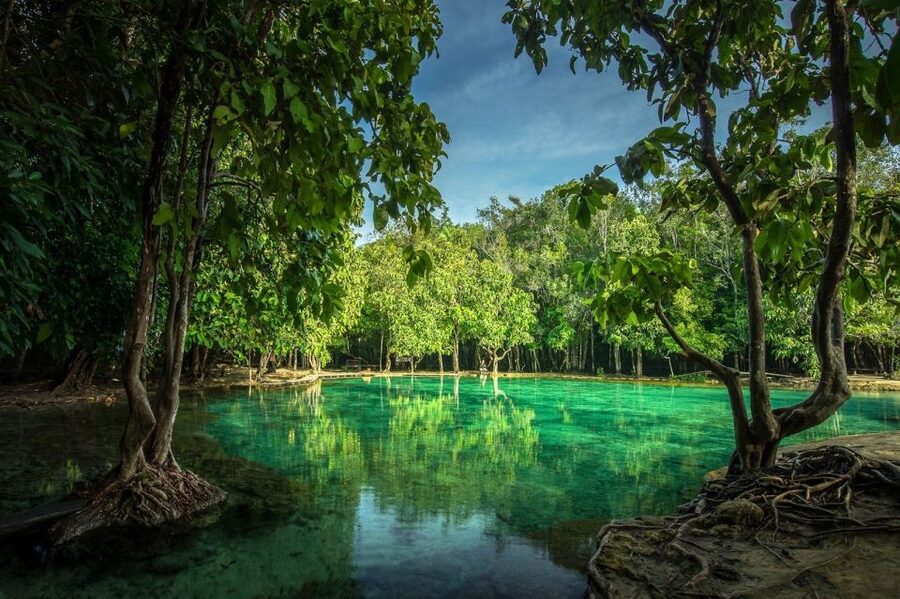 Krabi: Tiger Temple, Hot Springs & Crystal Pool Jungle Tour - Krabi in one package, Emerald Pool to Tiger Cave Temple