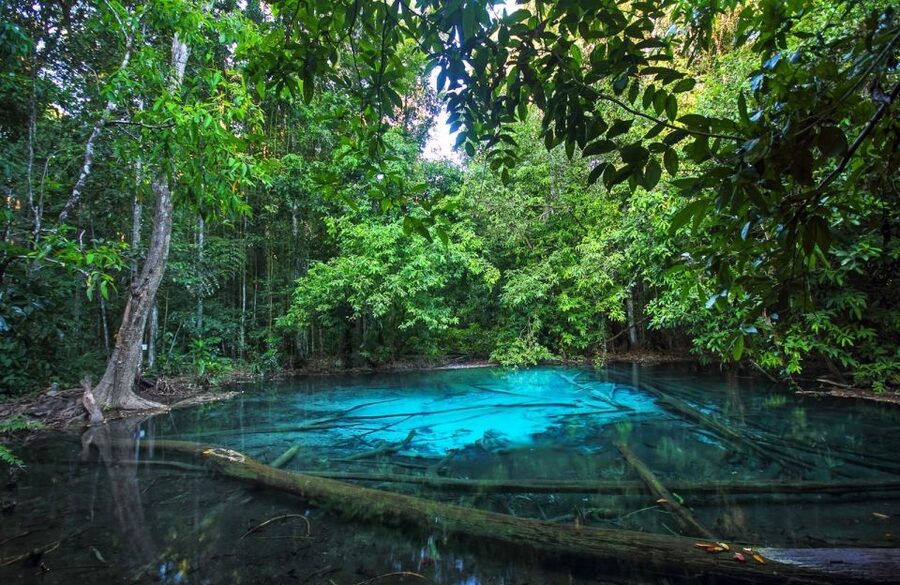 Krabi: Tiger Temple, Hot Springs & Crystal Pool Jungle Tour - Pacing and crowds: why early starts help