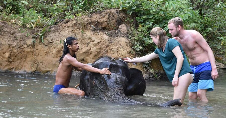 Krabi: Tour of Elephant Care House and Tiger Cave Temple - Key highlights you’ll care about