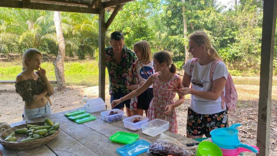 Krabi: Tour of Elephant Care House and Tiger Cave Temple - The small details: snacks, vitamins, and watching for cues