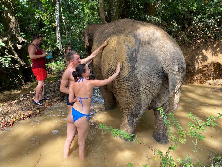 Krabi: Tour of Elephant Care House and Tiger Cave Temple - Panorama strategy: how to make the view part enjoyable