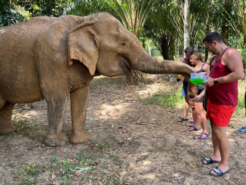 Krabi: Tour of Elephant Care House and Tiger Cave Temple - Who this tour is best for, and who should skip it