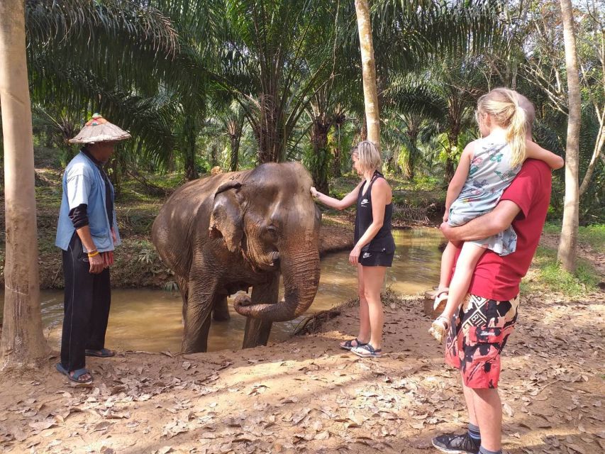 Krabi: Tour of Elephant Care House and Tiger Cave Temple - Your elephant time: feeding, walking, mud baths, and river cooling