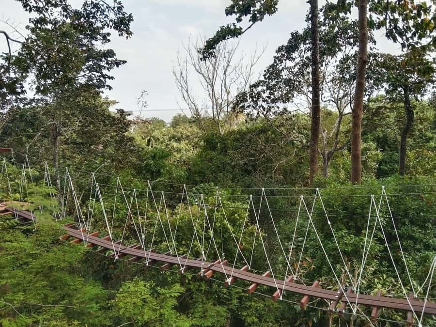Krabi Zipline adventure - Entering the course: treetop views that change the whole day
