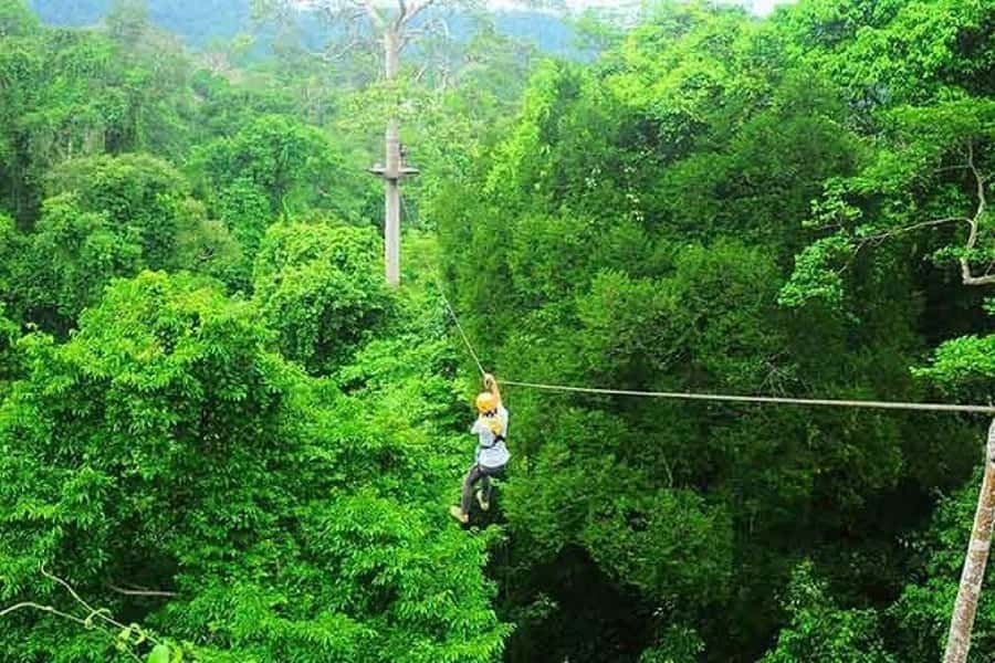 Krabi Zipline adventure - Rock climbing plus lunch: fuel matters in a full-day adventure