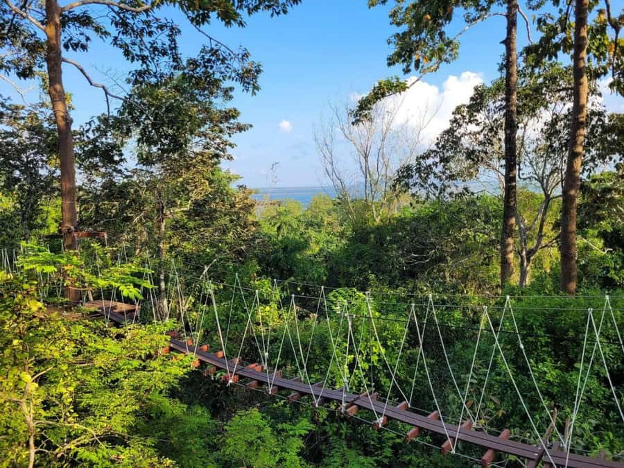 Krabi Zipline adventure - Transfers from Ao Nang and Krabi Town, plus private taxi comfort