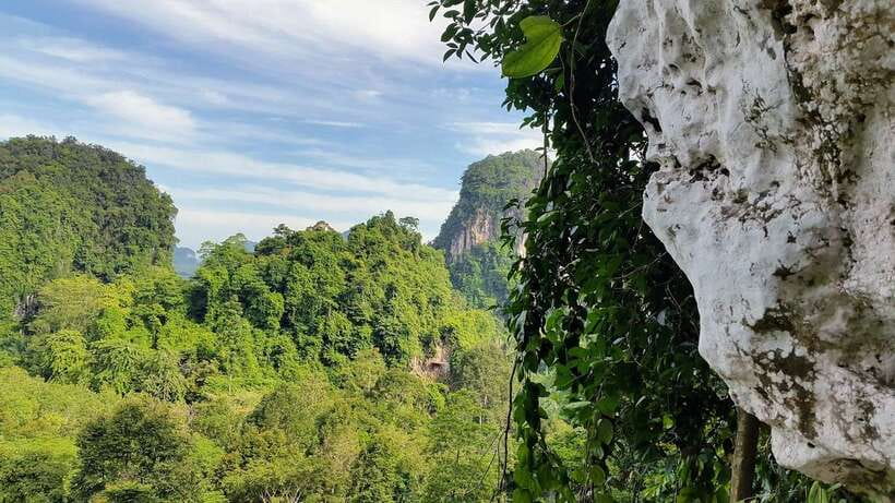 Krabi: Ziplining with Abseiling and Rock Climbing Options - Top rope rock climbing: confidence-building with two instructors