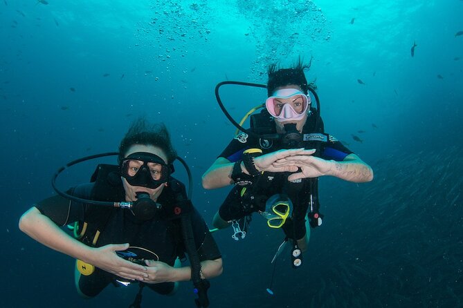 La Bombona Diving Koh Tao Open Water Course - A short course, with real time in the water