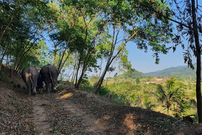 LIVING GREEN ELEPHANT SANCTUARY Chonburi - Entering the sanctuary grounds: Mo Hom shirt and elephant education