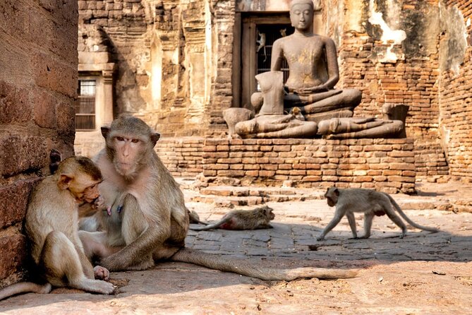 Lopburi Monkey Temple & Ayutthaya Old City Tour From Bangkok - Pickup that’s convenient if you’re near Khao San or Siam Square