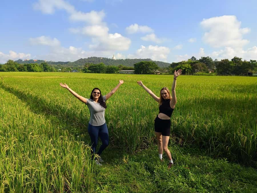 Meditation & Yoga Retreat in Nature - The rice fields and the rice cycle lesson
