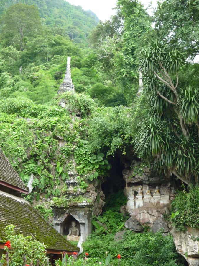 Monks chanting, Wat Doi Suthep and Wat Phalad+ Meditation - Wat Suandok, the former royal flower garden with a relic connection