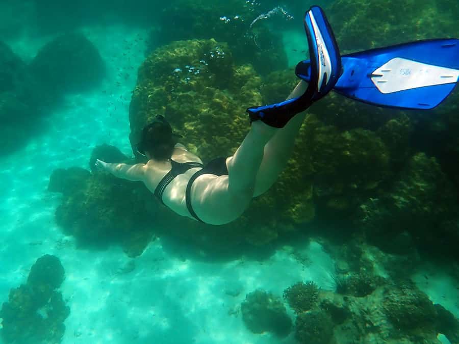 Mu Ko Ang Thong Park: Semi-private Sunset Cruise Tour - Sea kayaking along secret cliffs, caves, and calm-water lagoons (optional)