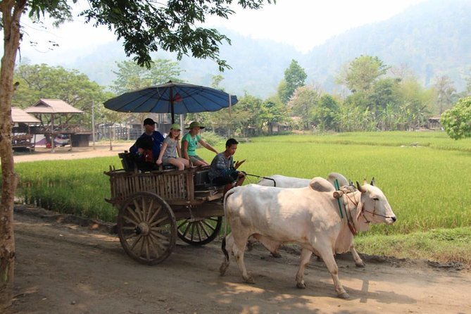 Nakhon Nayok adventure full day trip with lunch - Price and value, what you actually get for $123.95