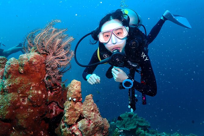 Open Water Course - Become certified diver in 3 days - Key things that make this Koh Tao course worth your time