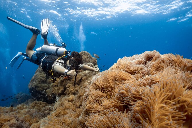 Open Water Course - Become certified diver in 3 days - What 3 days of intensive training really means for you