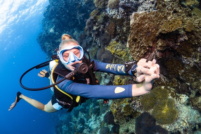 Open Water Course - Become certified diver in 3 days - Price and value: what $358.72 buys you in Koh Tao