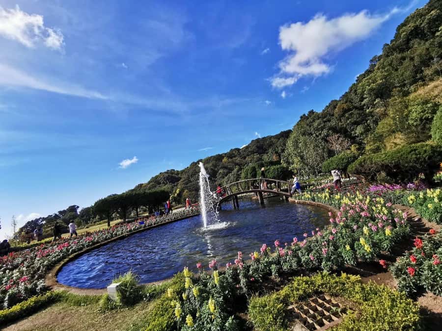 Pa Pong Piang Rice Terraces & Doi Inthanon National Park - Key highlights worth caring about