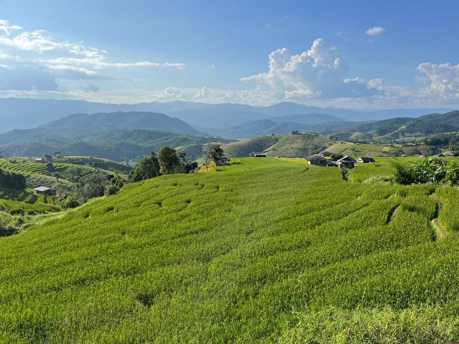 Pa Pong Piang Rice Terraces & Doi Inthanon National Park - Who this tour suits, and who should choose something else