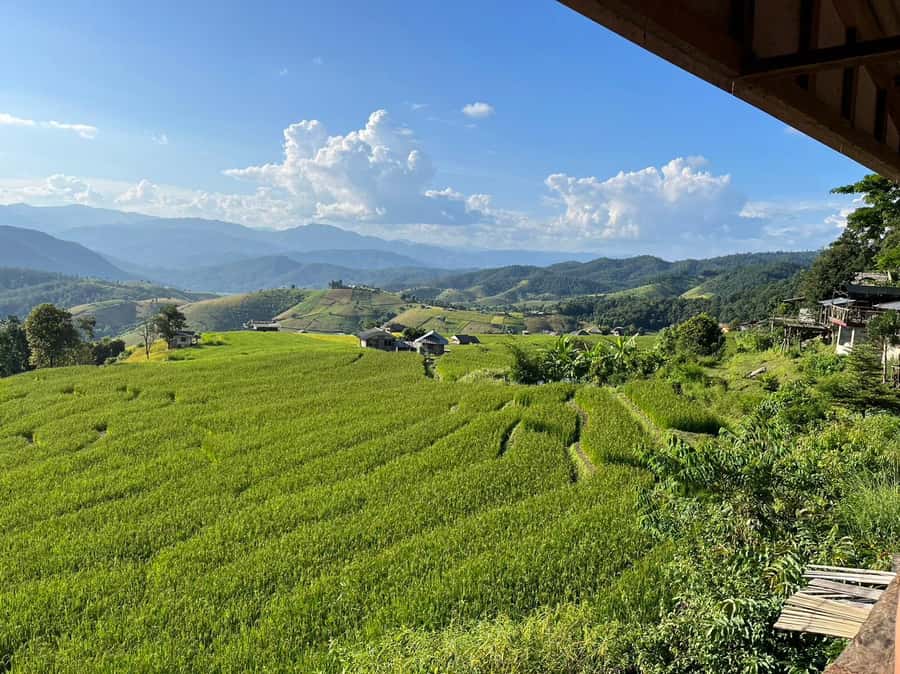 Pa Pong Piang Rice Terraces & Doi Inthanon National Park - Pa Pong Piang rice terraces: the day starts in the most photogenic hills