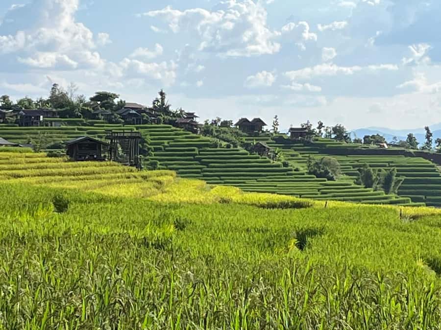 Pa Pong Piang Rice Terraces & Doi Inthanon National Park - Wachiratharn Waterfall: a classic pause that breaks up the mountain day