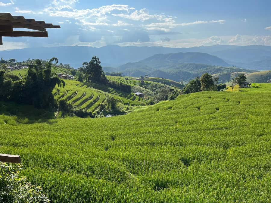 Pa Pong Piang Rice Terraces & Doi Inthanon National Park - Price and time: does $147 feel fair for a 9.5-hour mountain day?