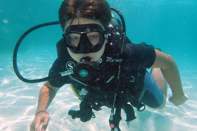 PADI Discover Scuba Diving in Koh Tao - half day and two dives - Koh Tao’s best kind of first-timer SCUBA lesson: two sessions, not a long course