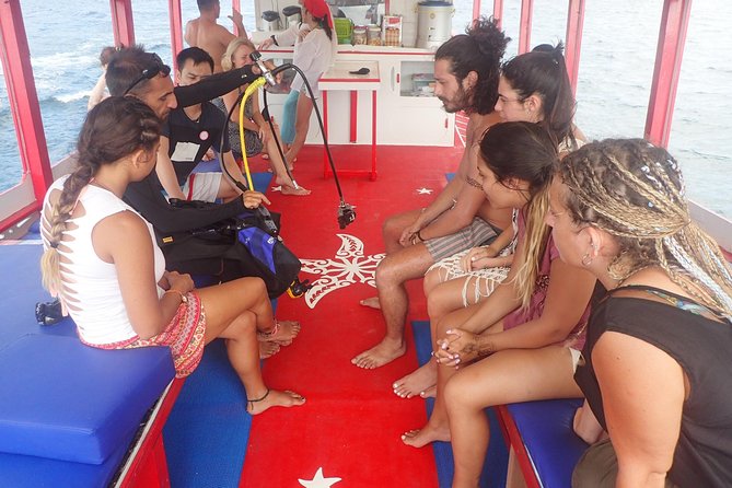 PADI Discover Scuba Diving in Koh Tao - half day and two dives - Getting comfortable in Koh Nang Yuan shallows (Japanese Garden or Mango Bay)